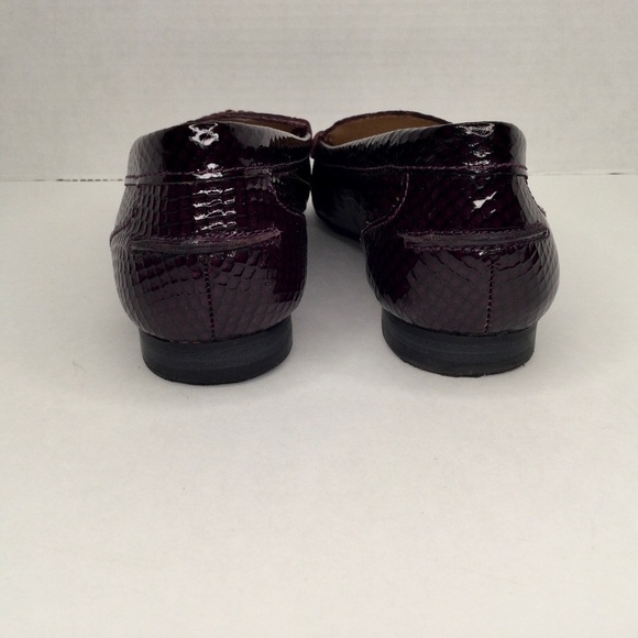 Arturo‎ Chiang snake embossed gorgeous flats. - Picture 9 of 10